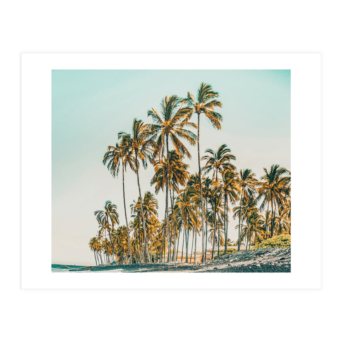 Island Life III (Print Only)