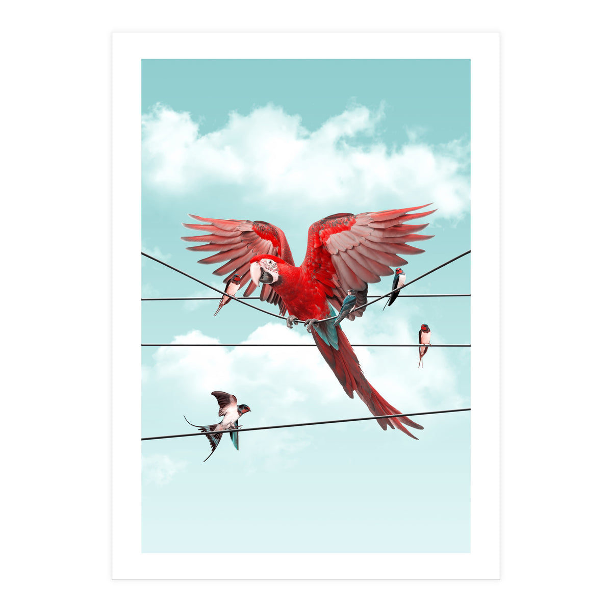 Colorful Stranger (Print Only)