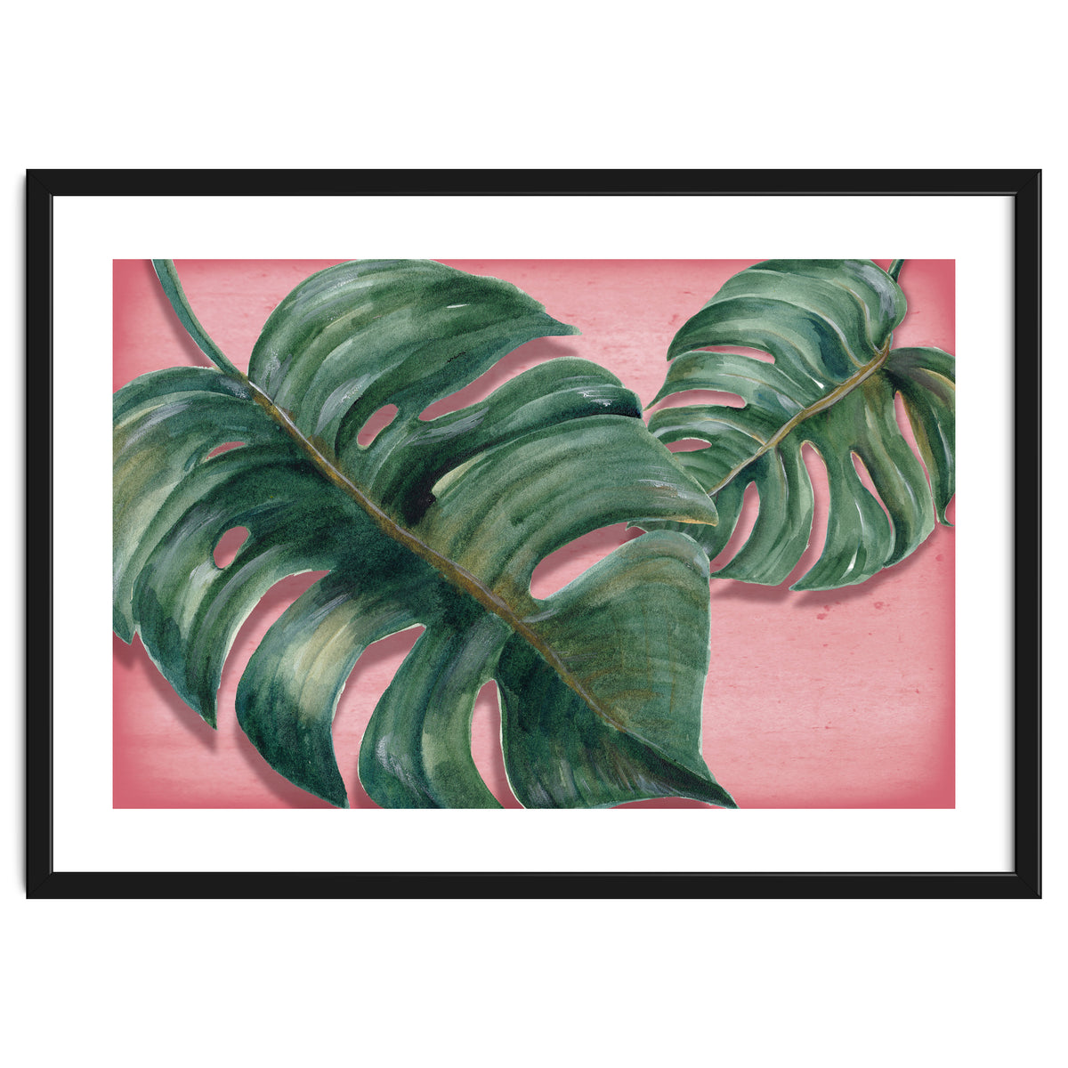 Monstera Leaf