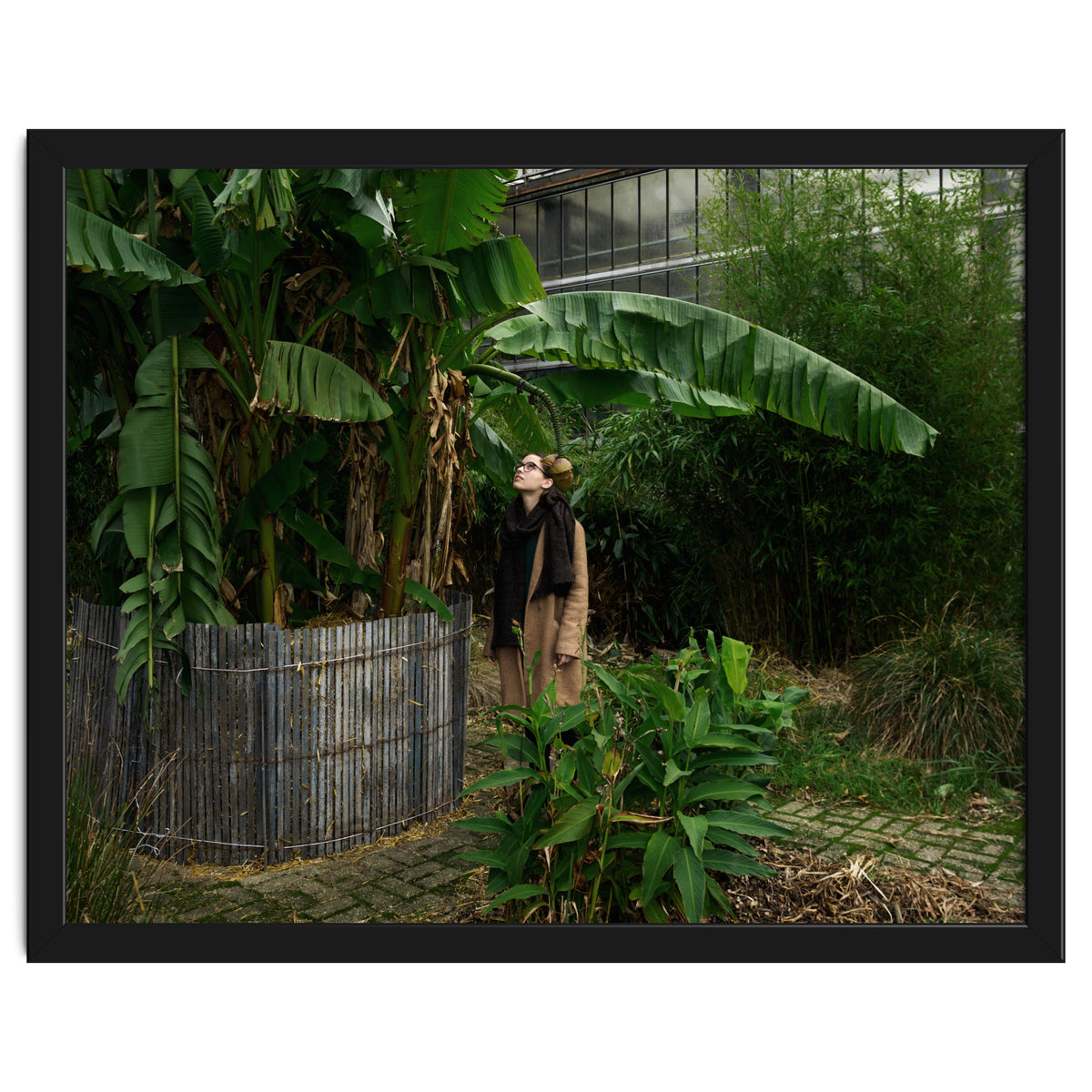 Transition from Summer to Winter