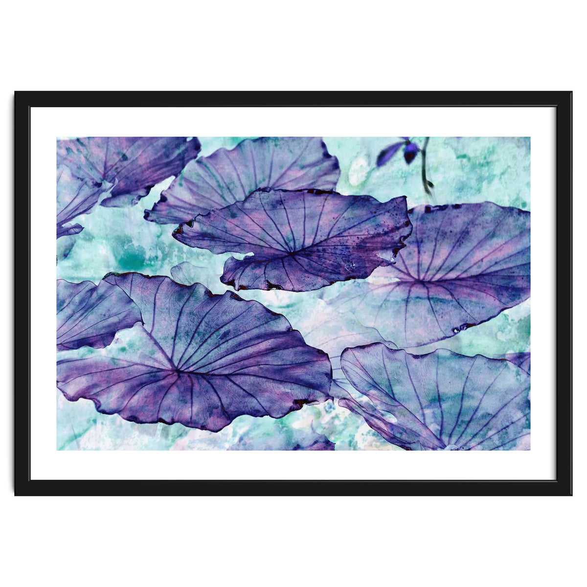 Botanical Surrealism