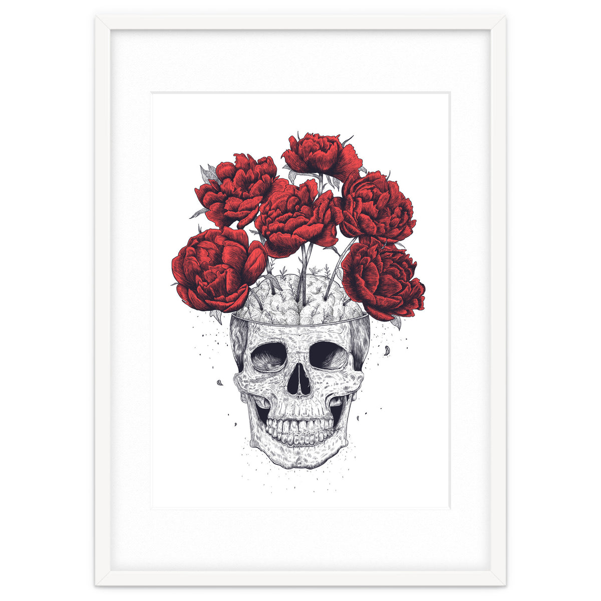 Skull With Peonies
