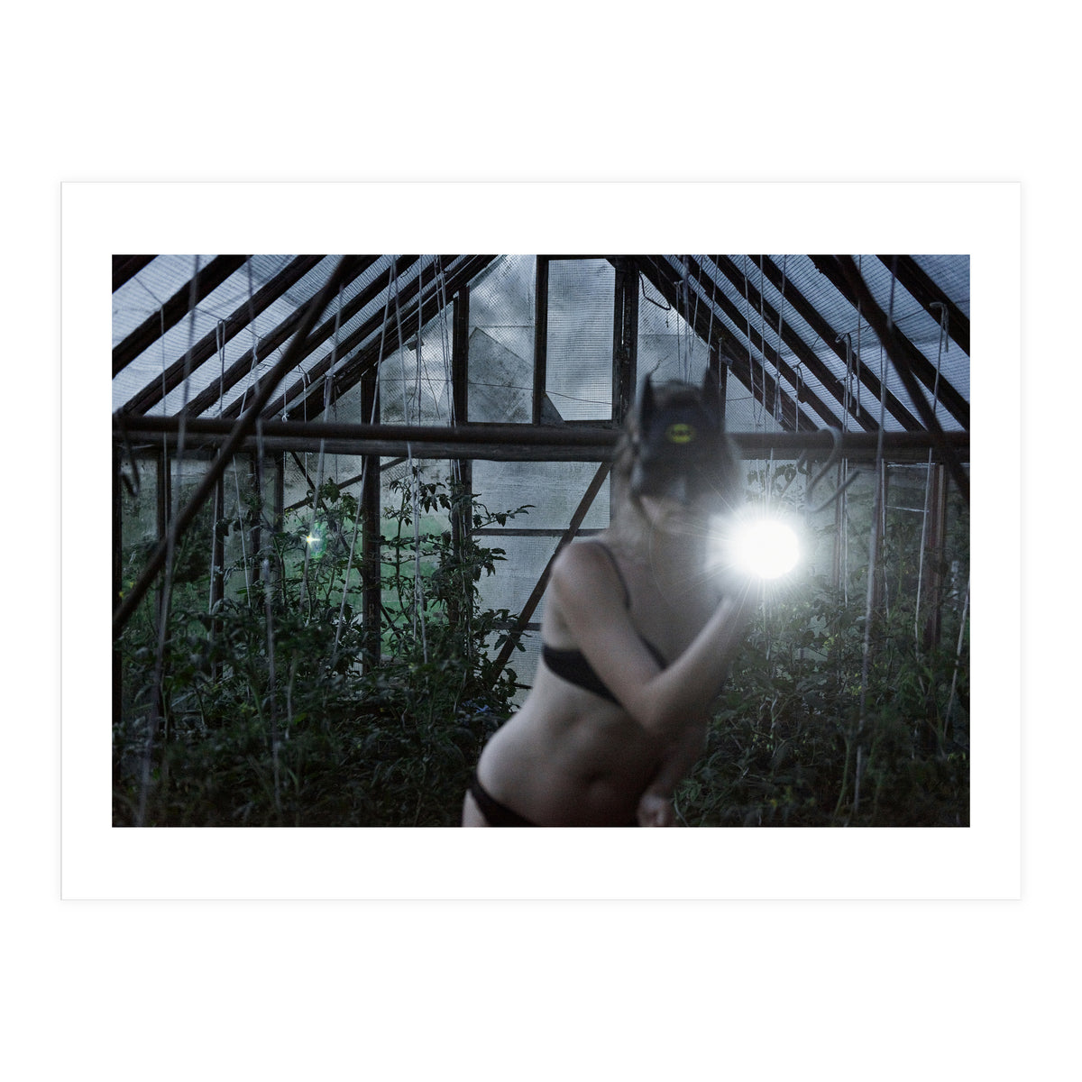 Tomatoes Thief (Print Only)