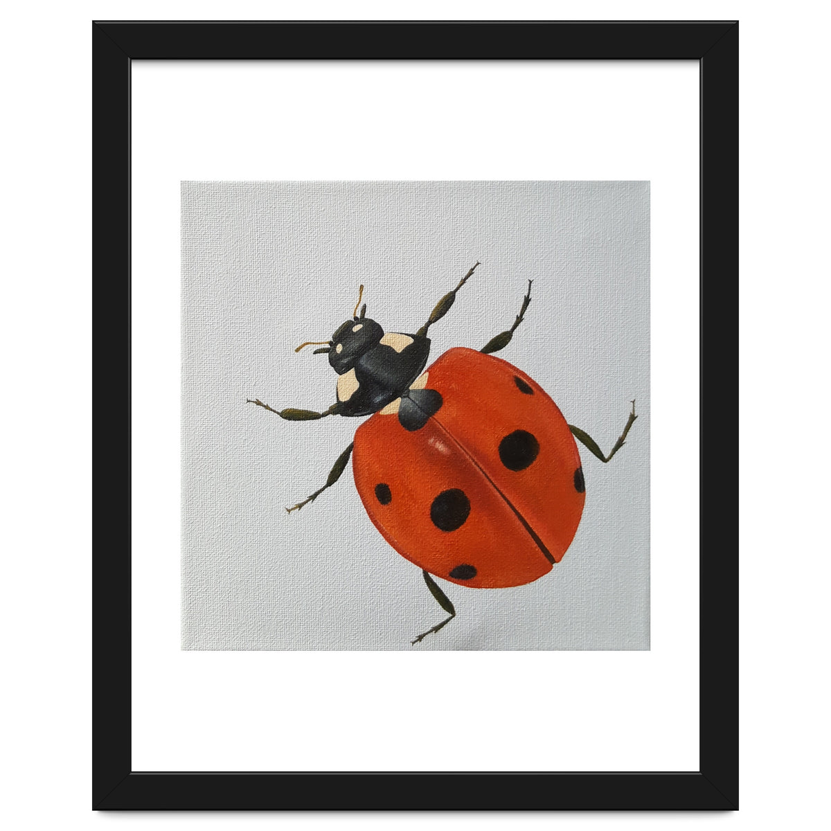 Ladybird