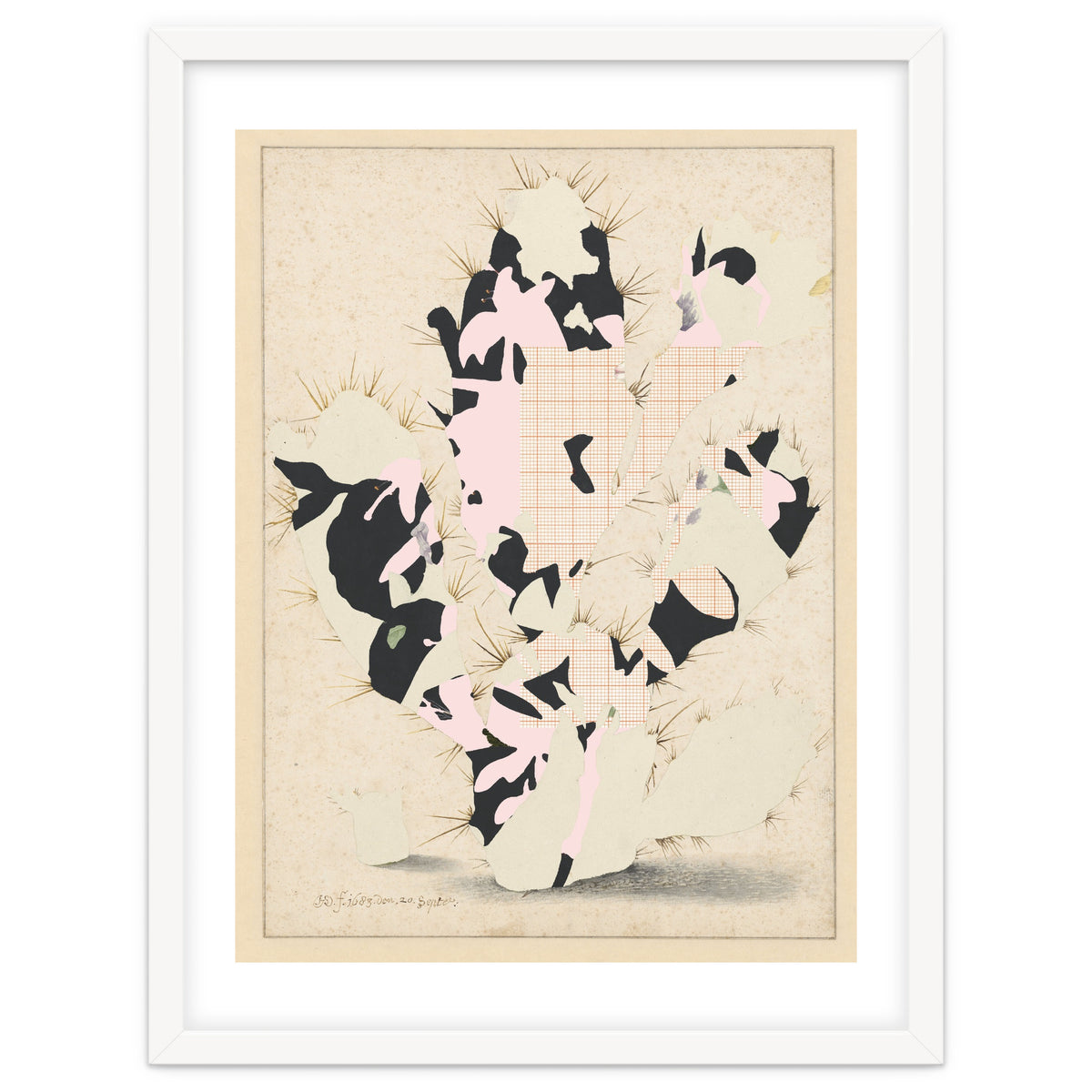 The First Plant · E