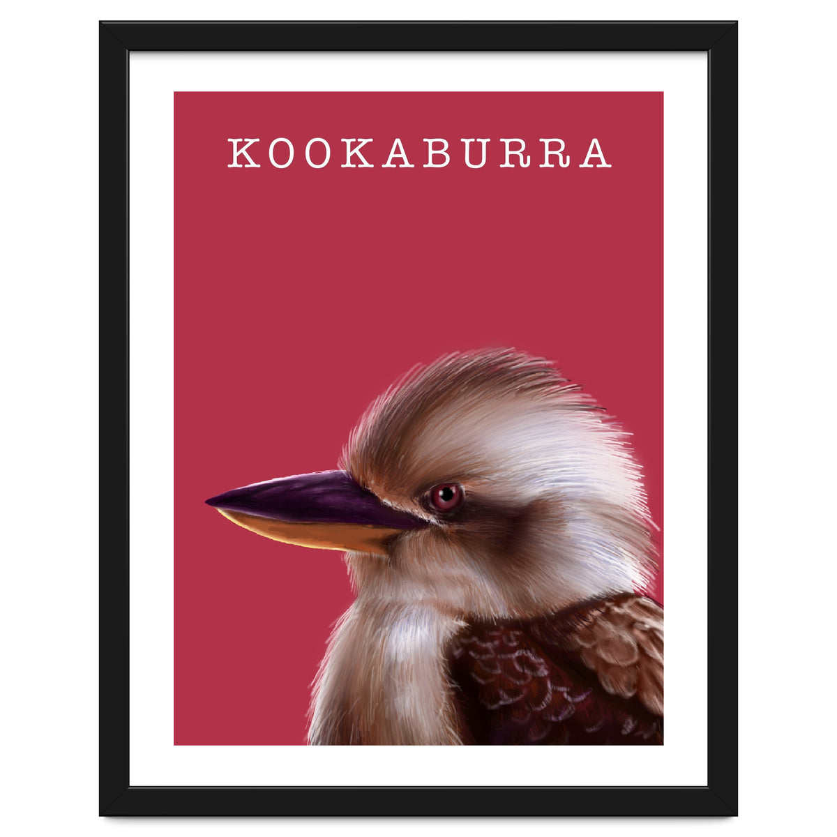 Kookaburra
