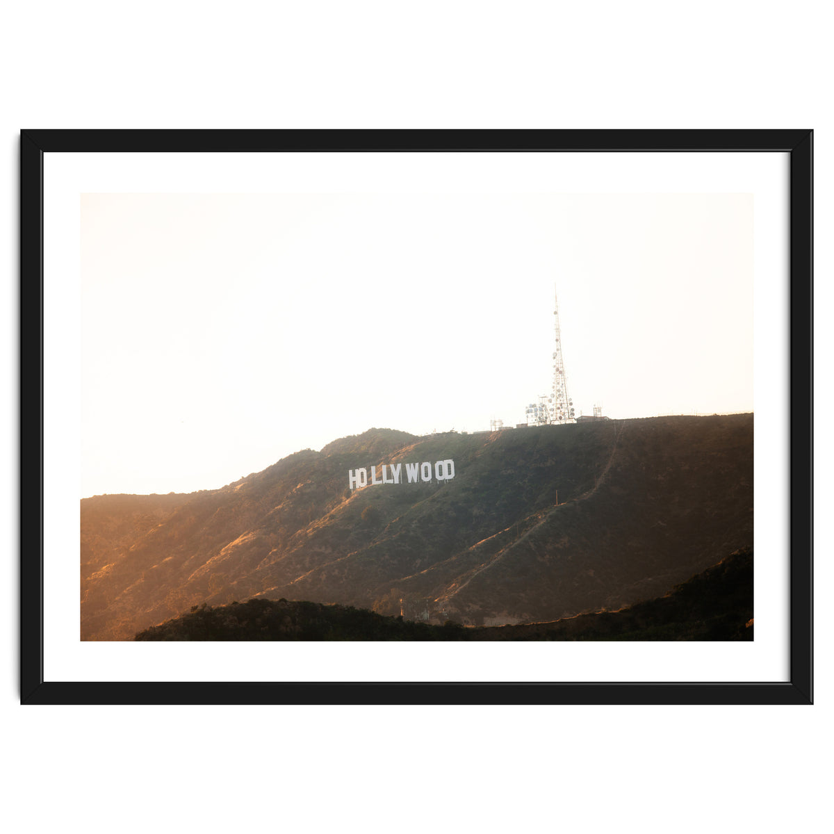 Hollywood Gold x Hollywood Sign California