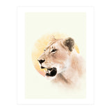 Lioness (Print Only) thumbnail