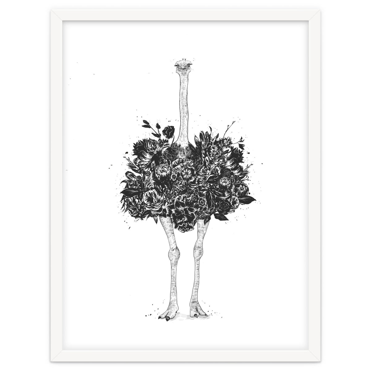 Floral Ostrich