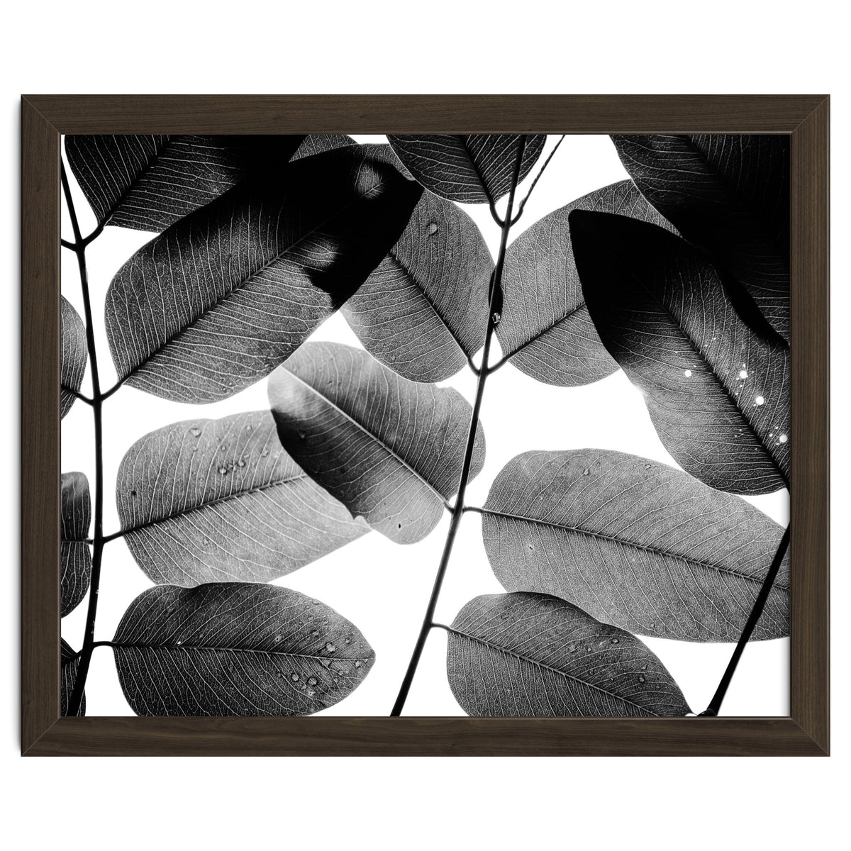 Experiments with Leaves II