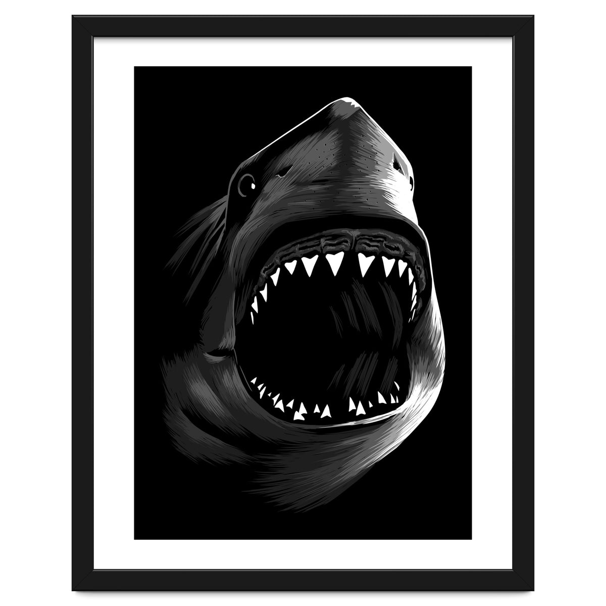 Megalodon