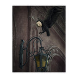 Lumieres (Print Only) thumbnail