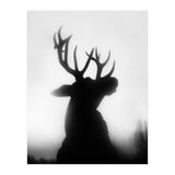 roar (Print Only) thumbnail