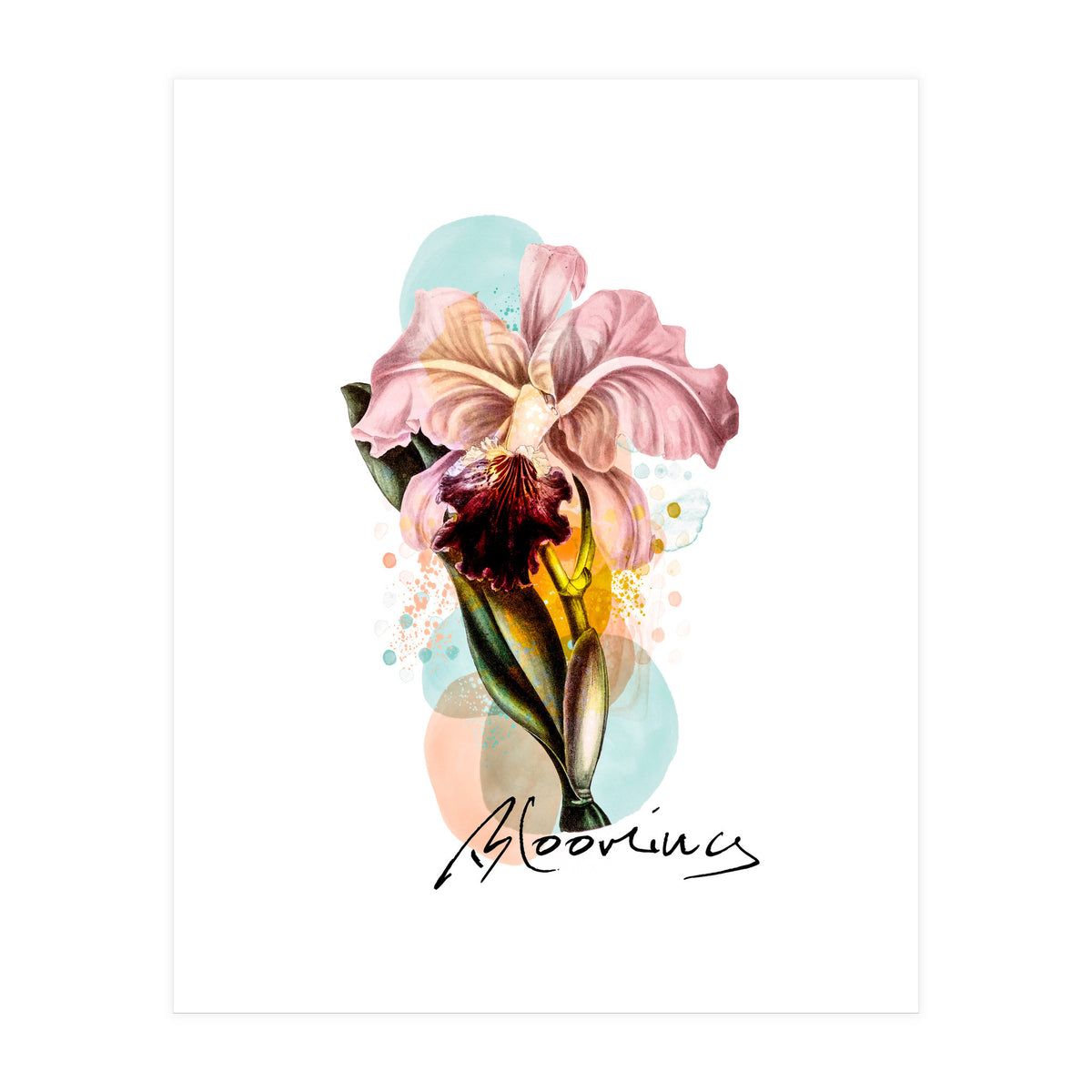Blooming (Print Only)
