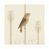 Sedge Warbler (Print Only) thumbnail