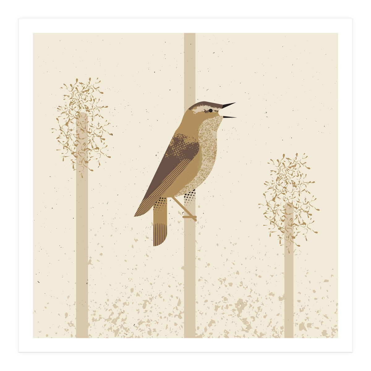 Sedge Warbler (Print Only)