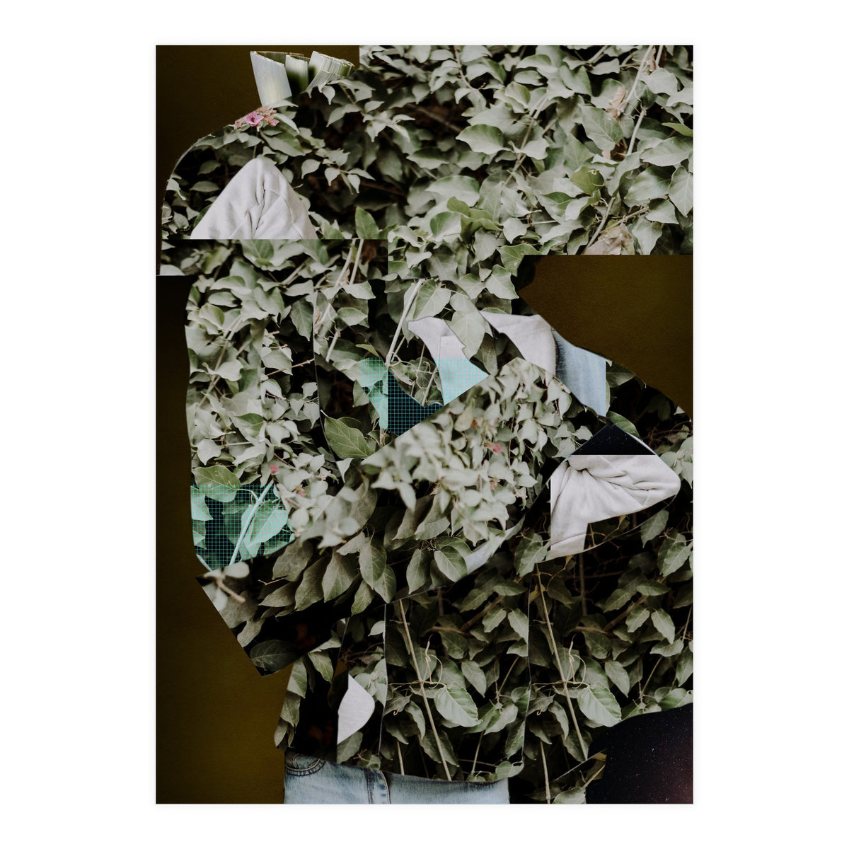 Disappeared Dreams 2 (Print Only)