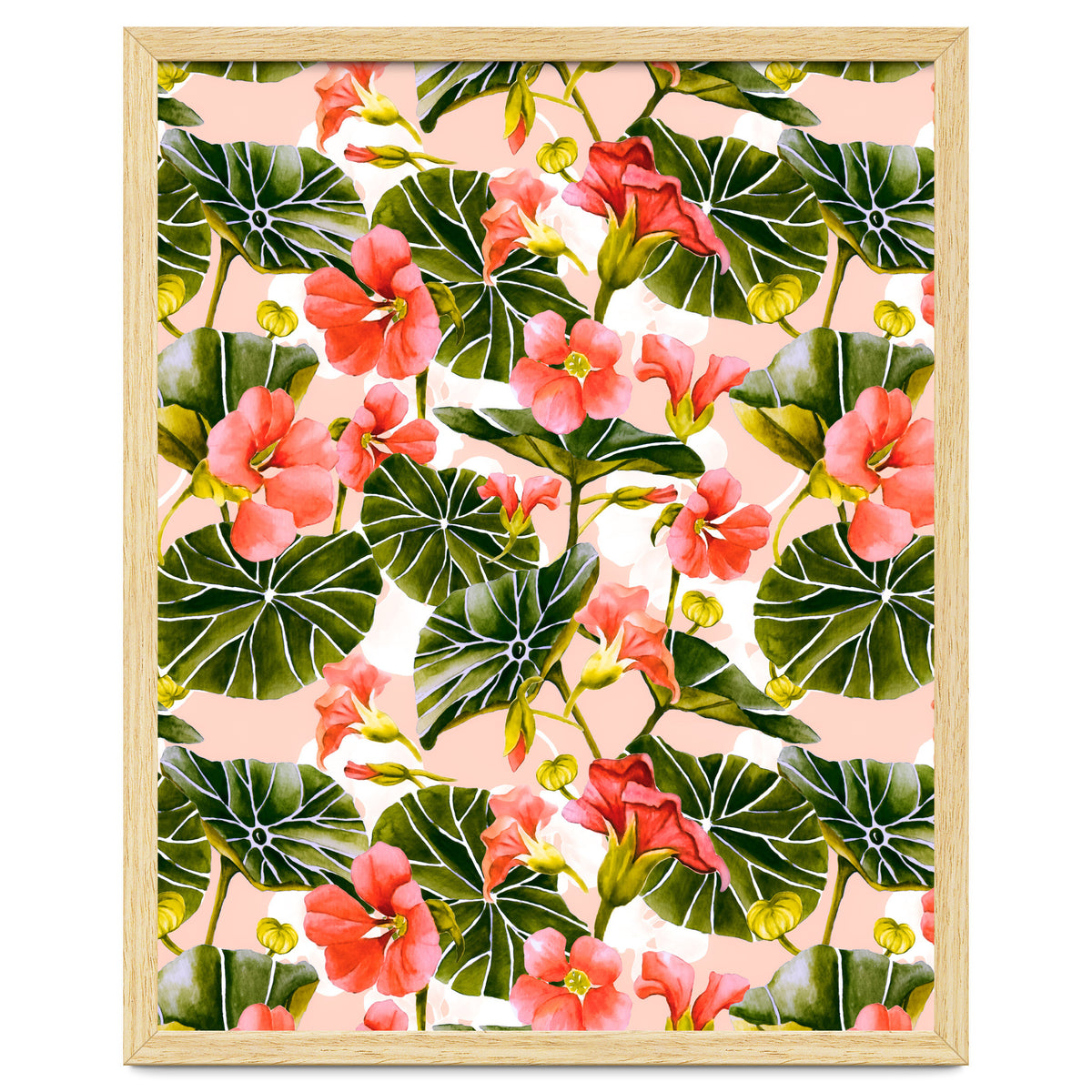 Nasturtiums watercolor 03