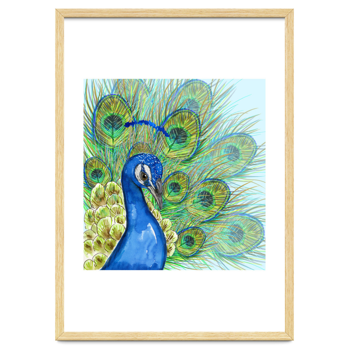 Peacock portrait