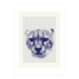 Lioness 2018 (Print Only) thumbnail