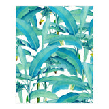 Banana Forest (Print Only) thumbnail