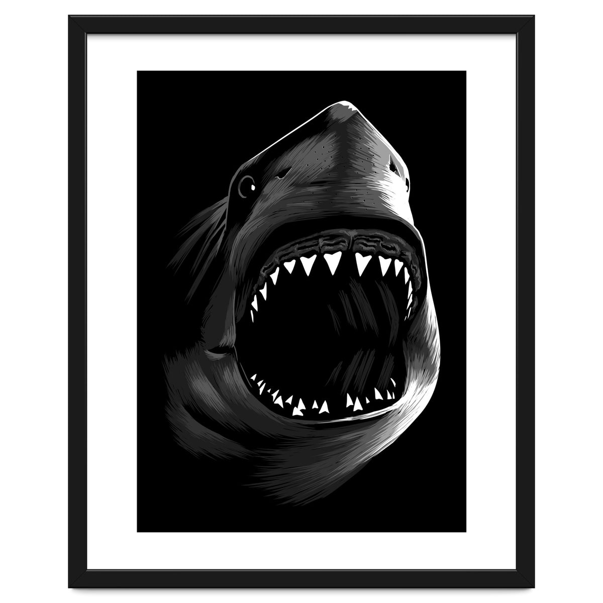 Megalodon