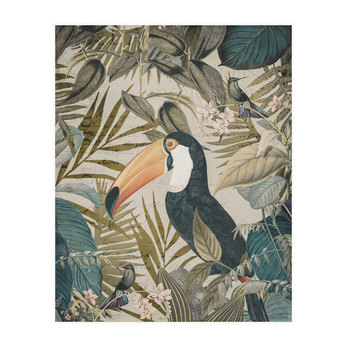 Jungle Toucan (Print Only)