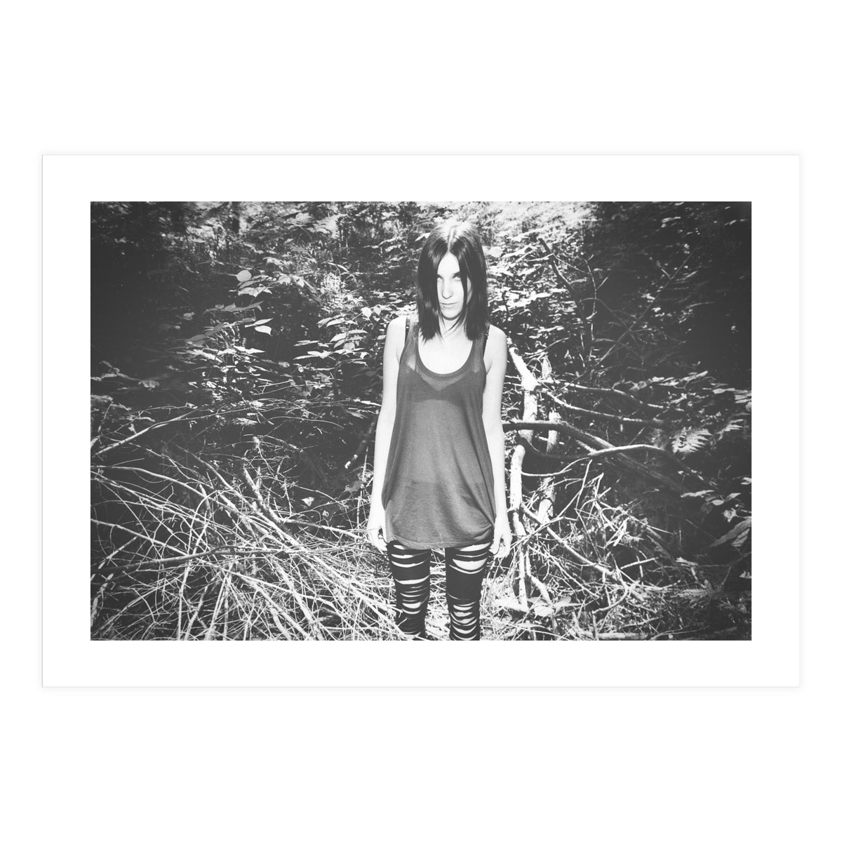 Camouflaged Animals (Print Only)