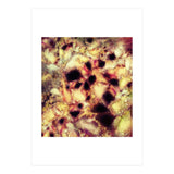 Natural Mechanism (Print Only) thumbnail