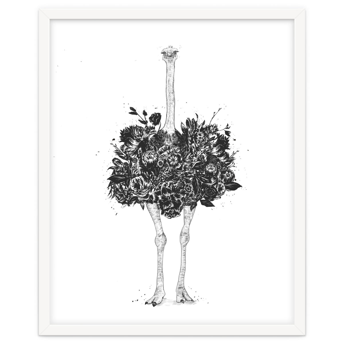 Floral Ostrich