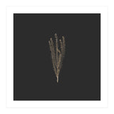 Delicate Fynbos Botanicals in Gold and Black - Square (Print Only) thumbnail