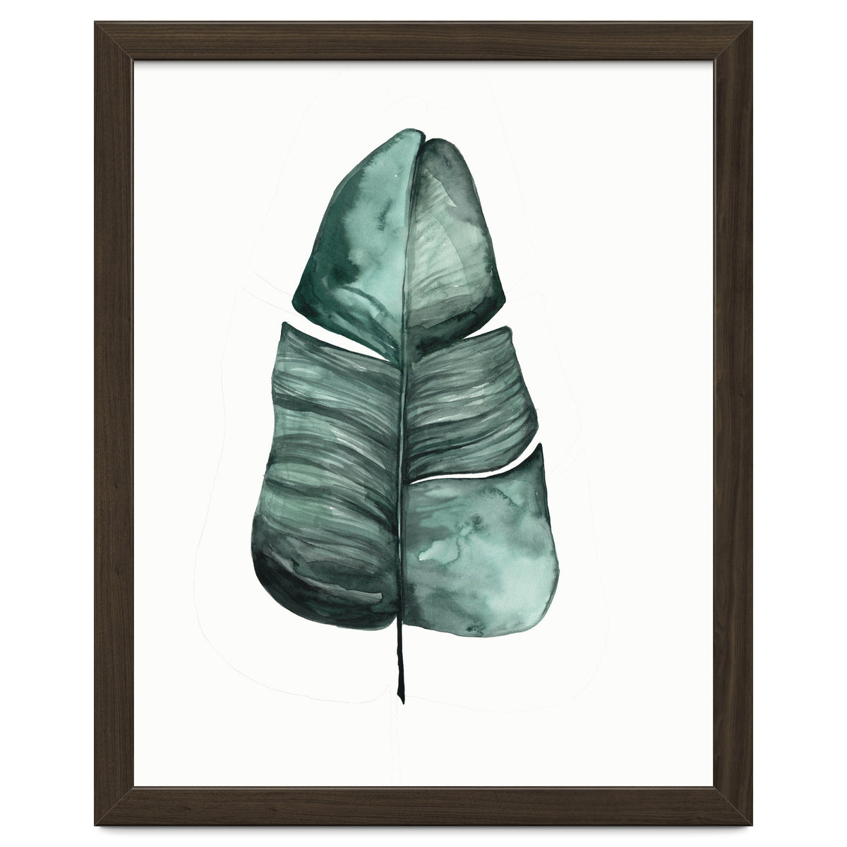 Botanical Illustration Banana Leaf
