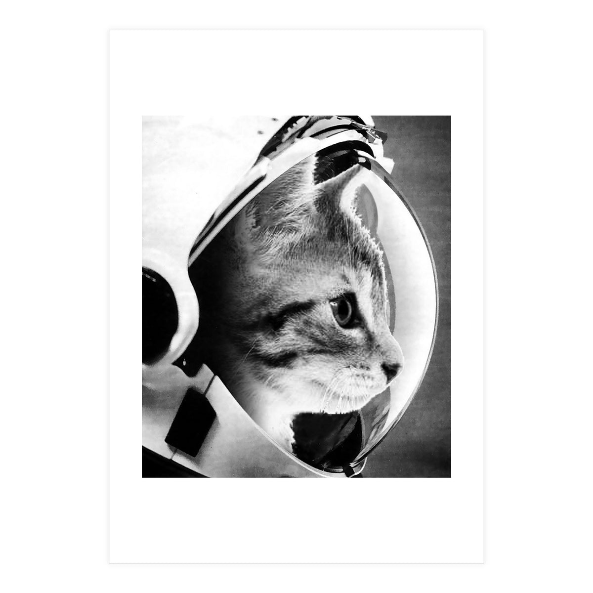 Astrocat (Print Only)