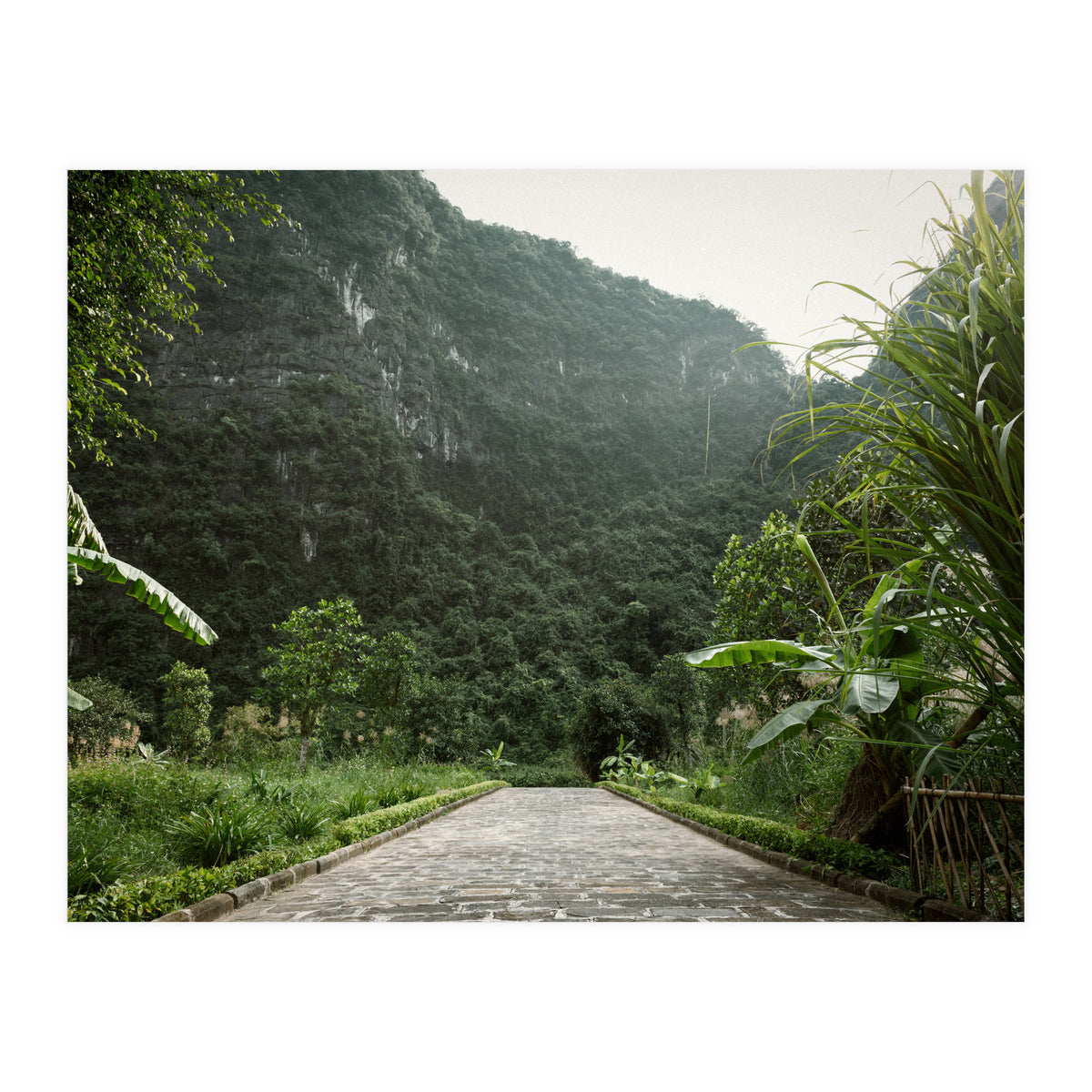 Greenscape (Print Only)