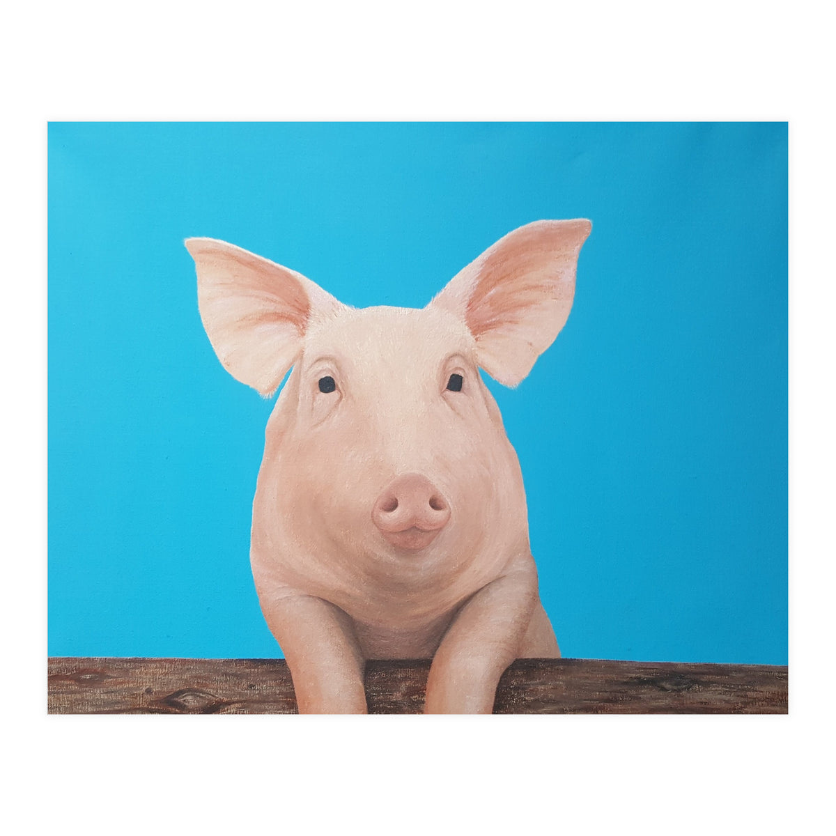Pig (Print Only)