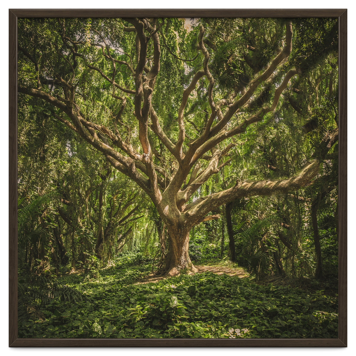 Spirits inside the wood