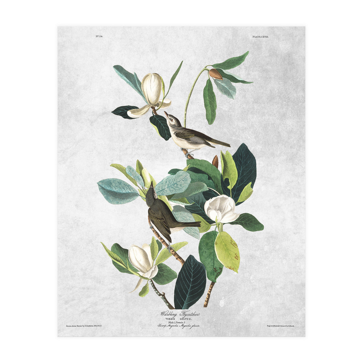 fiori e uccelli (Print Only)