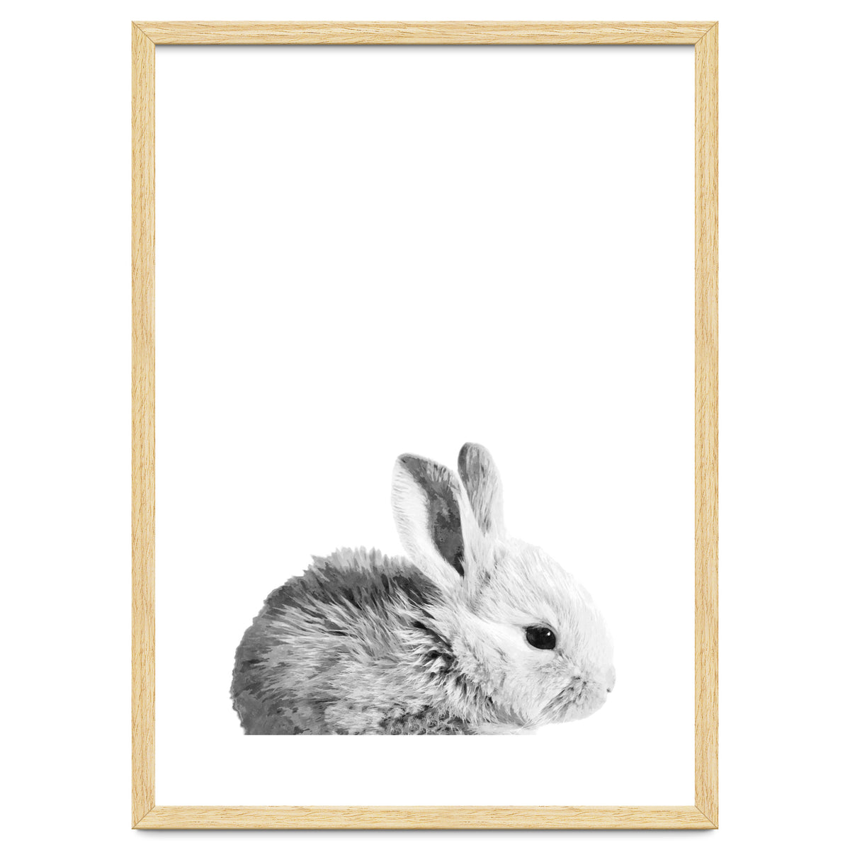 Black and White Bunny Portrait