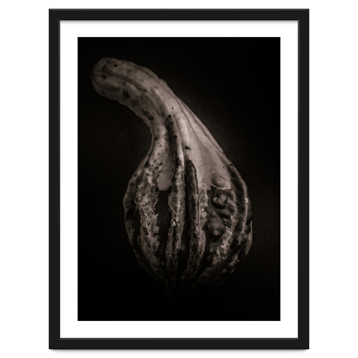 Gourds No 2
