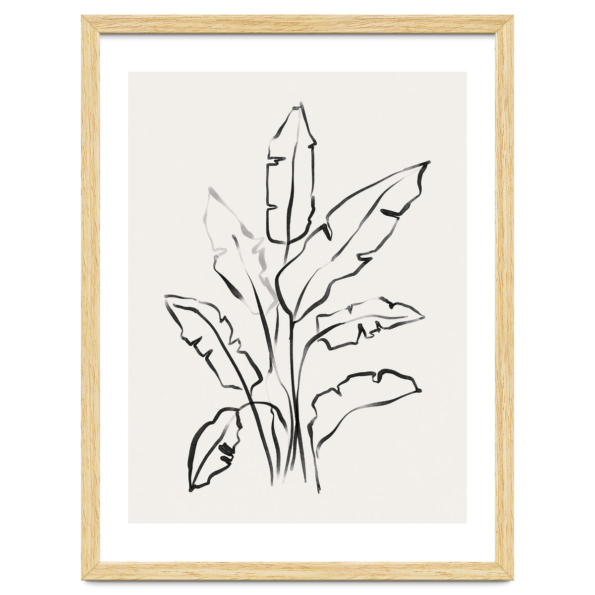 Banana Leafs Drawing