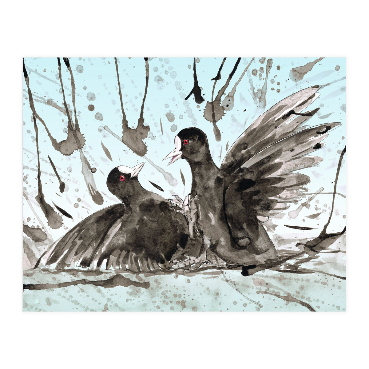 Fighting coots (Print Only)