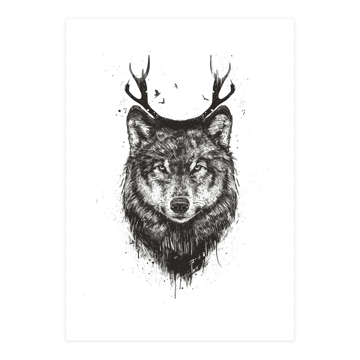 Deer Wolf Bw (Print Only)