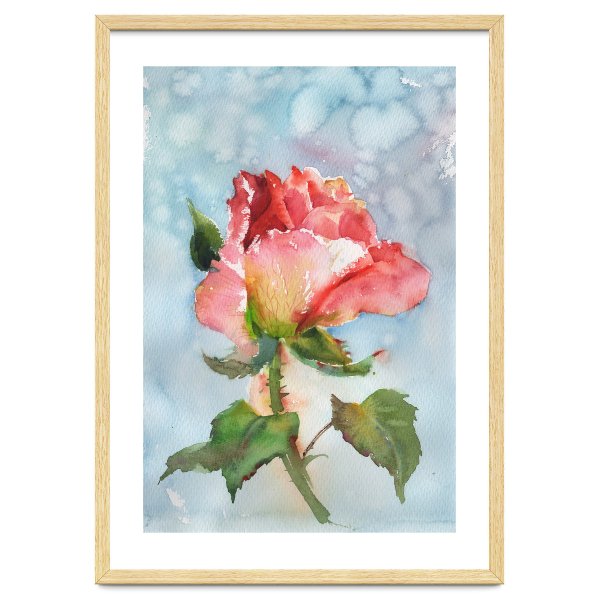 Beautiful Rose Watercolor