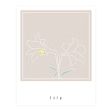 lily flower (Print Only) thumbnail
