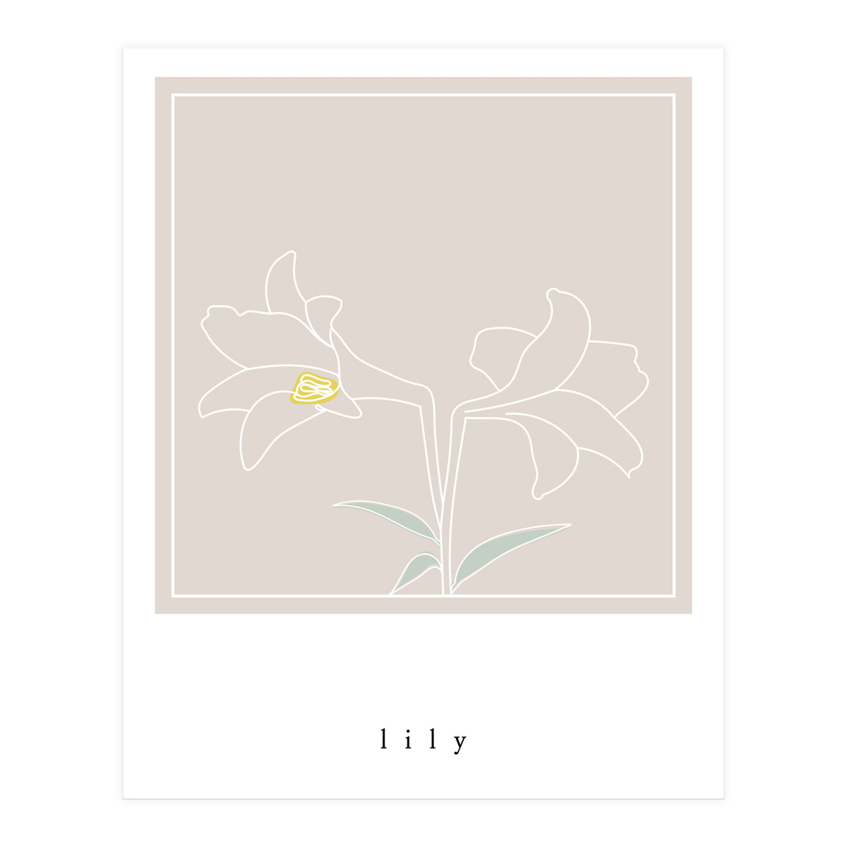 lily flower (Print Only)