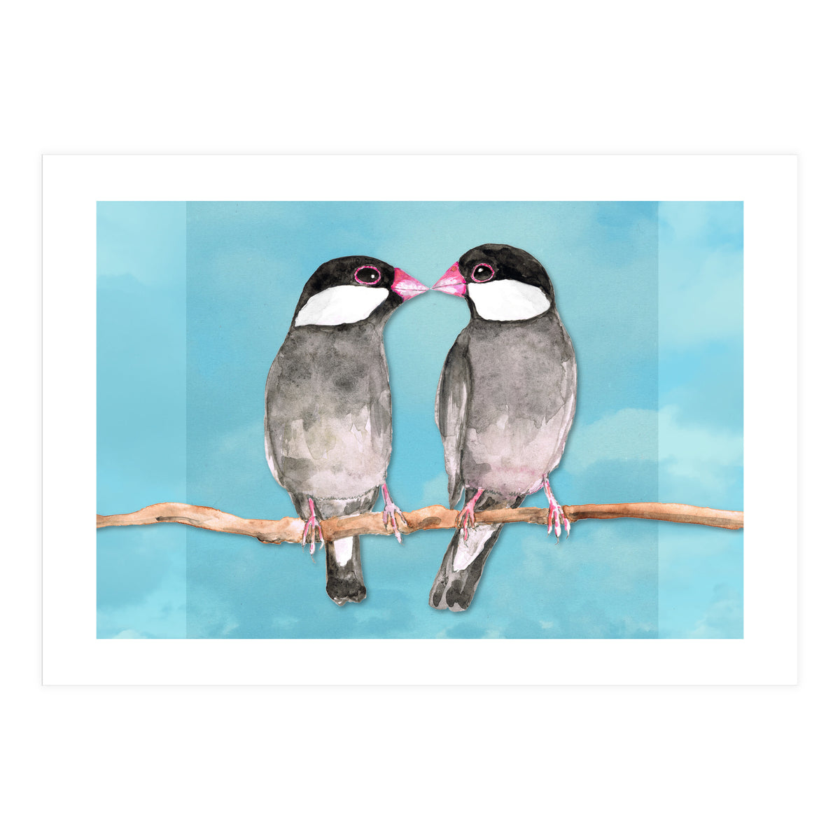 Two kissing Java sparrows (Print Only)