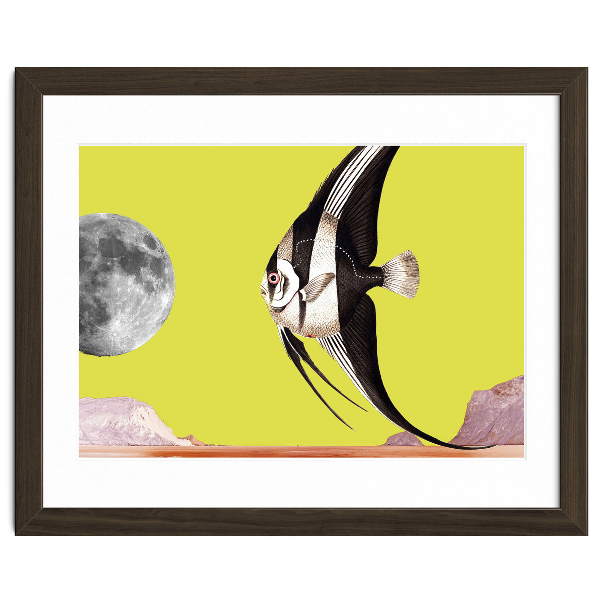 Plenty of fish in the sea yellow