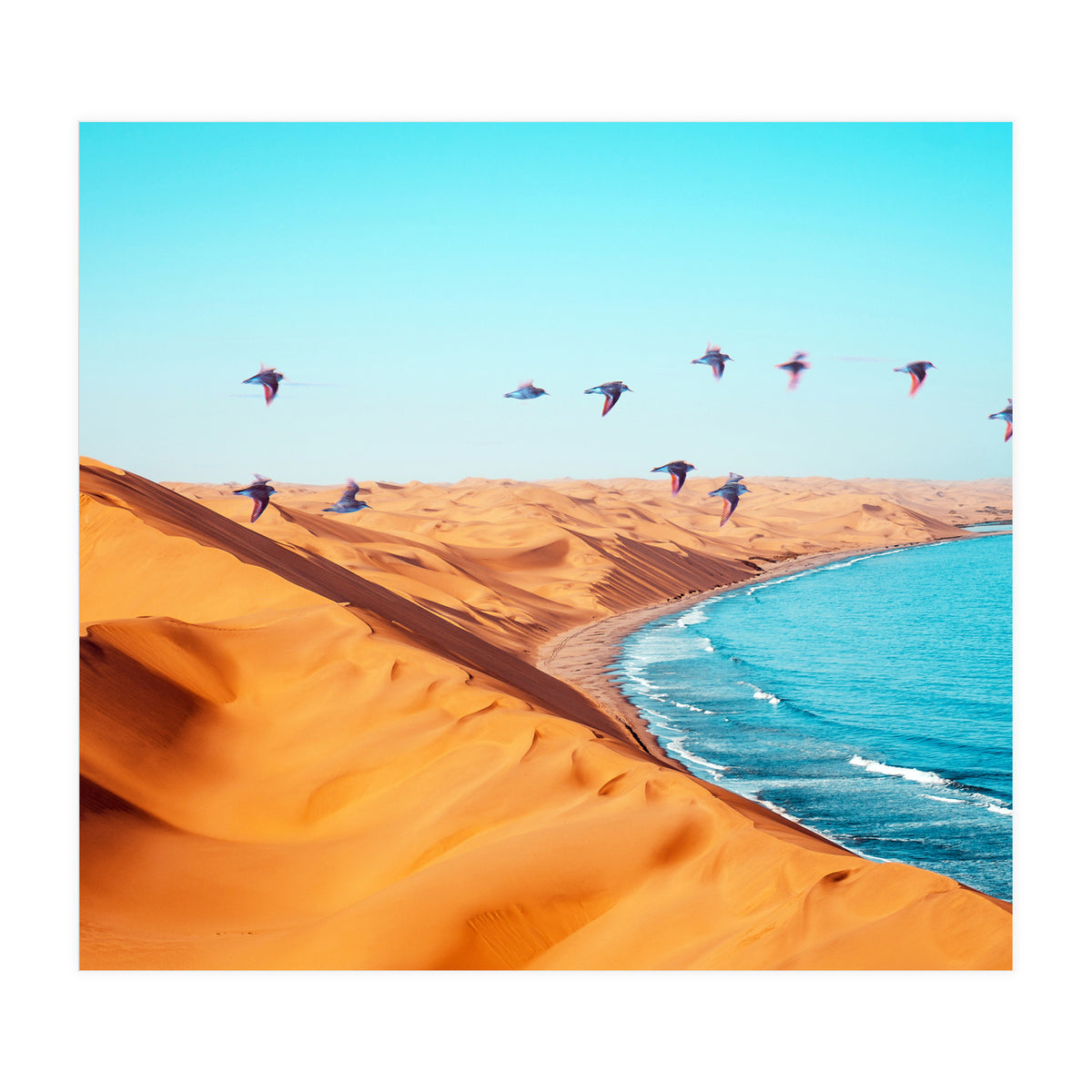 Desert Birds (Print Only)