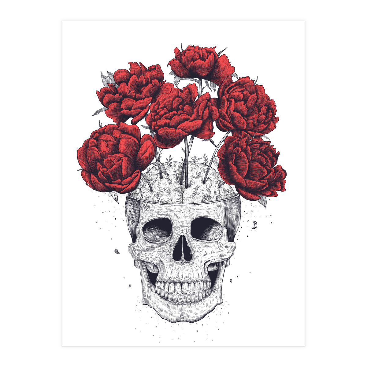Skull With Peonies (Print Only)