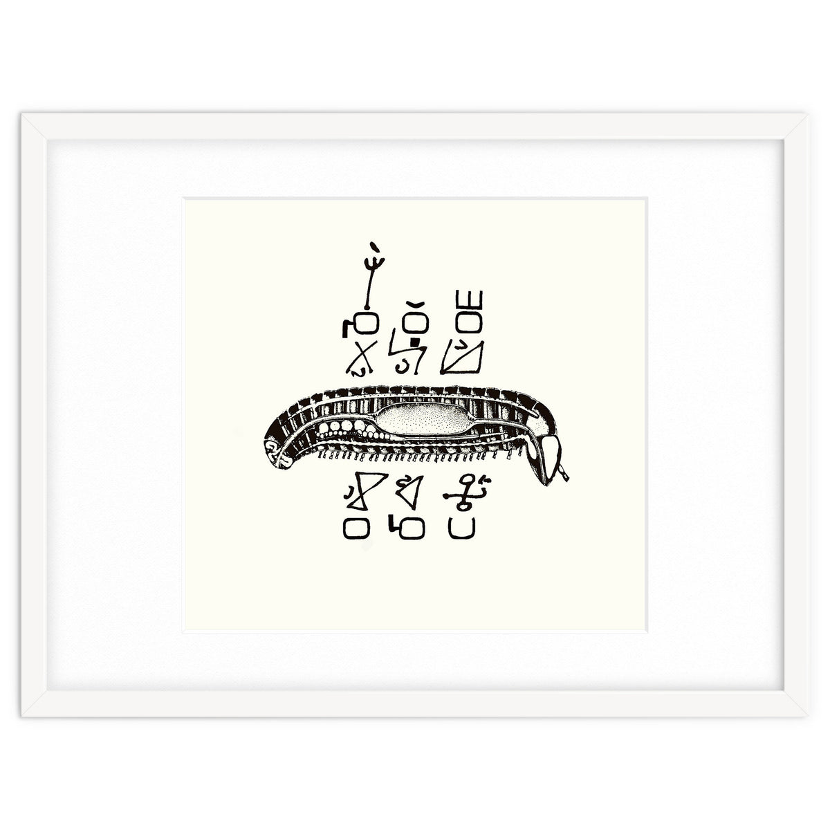 Diplopod David Felix